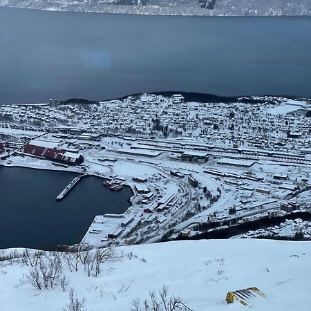 Ferienwohnung Narvik Sentrum Exterior foto